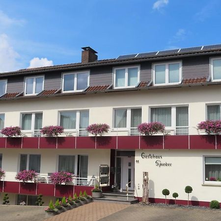 Gaestehaus Spieker Horn-Bad Meinberg Eksteriør billede