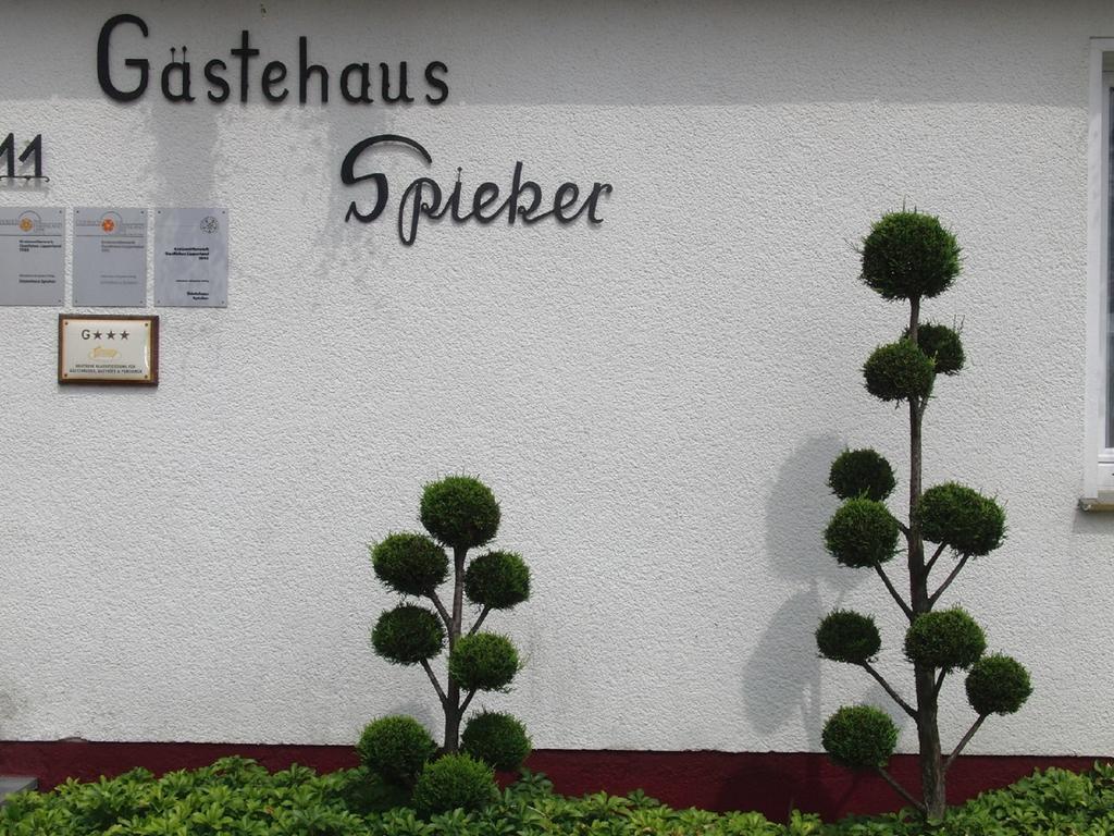 Gaestehaus Spieker Horn-Bad Meinberg Eksteriør billede